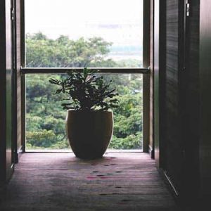 Slide3 Free Img 300x300 2